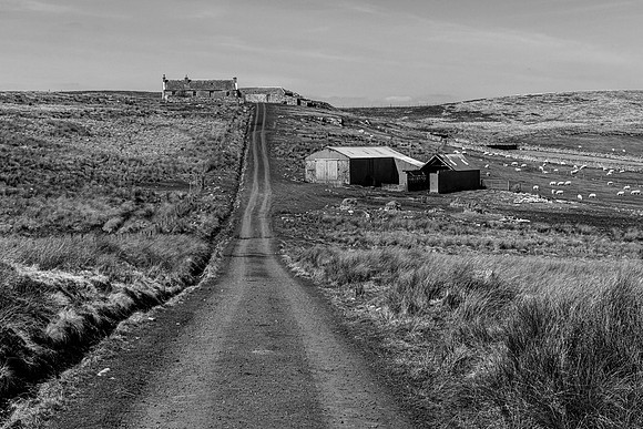 210417 Upper Borgue 004