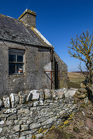 210417 Upper Borgue 032