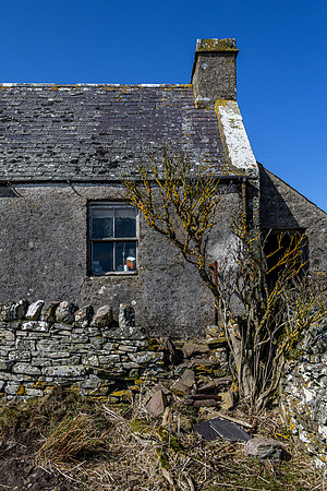 210417 Upper Borgue 033