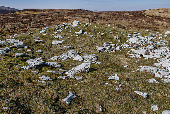 210417 Upper Borgue 054