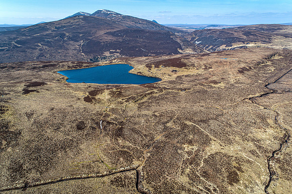 210417 Upper Borgue 097