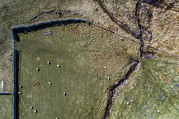 210417 Upper Borgue 181