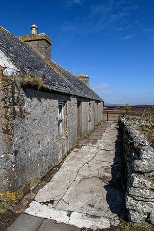 210417 Upper Borgue 026