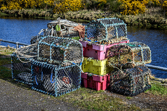 220330 Brora Harbour 013