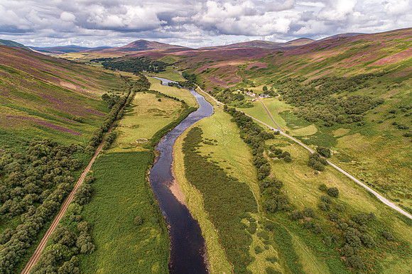 240820 Torrish 048