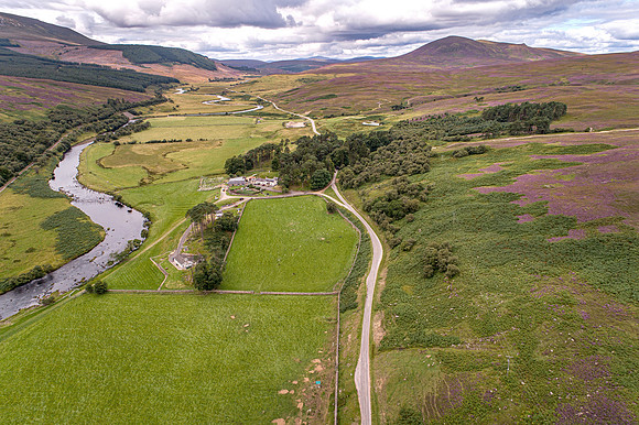 240820 Torrish 107