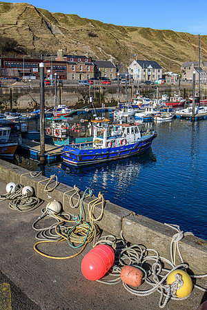 220319 Scrabster 086