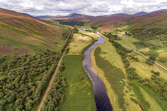 240820 Torrish 035