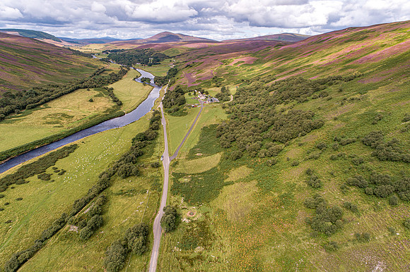 240820 Torrish 055