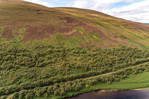 240820 Torrish 027