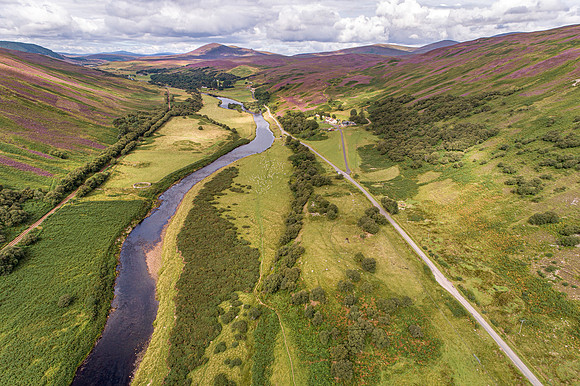 240820 Torrish 036