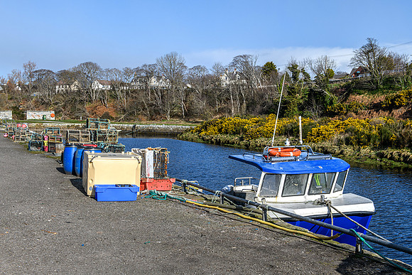 220330 Brora Harbour 008