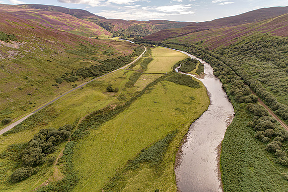240820 Torrish 068