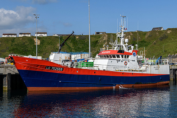 210622 Scrabster Harbour 003