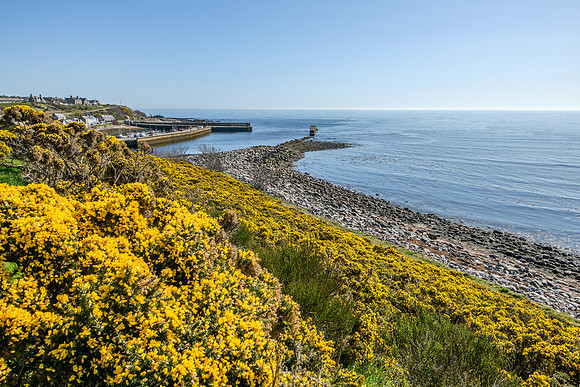 250407 Helmsdale 046