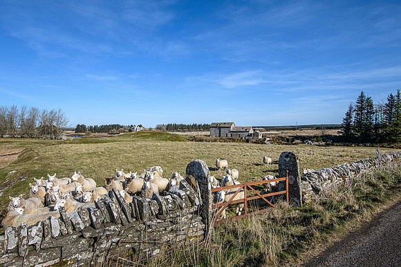 220319 Westerdale 006