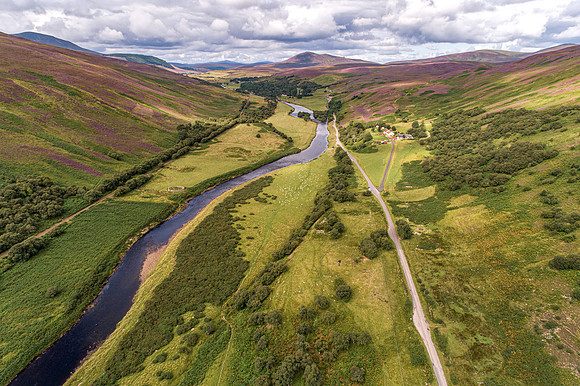 240820 Torrish 047