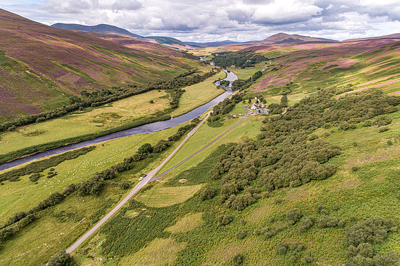 240820 Torrish 059