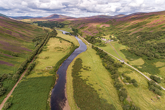 240820 Torrish 052