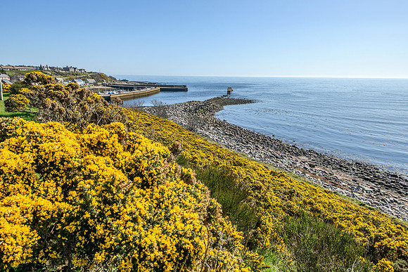 250407 Helmsdale 047
