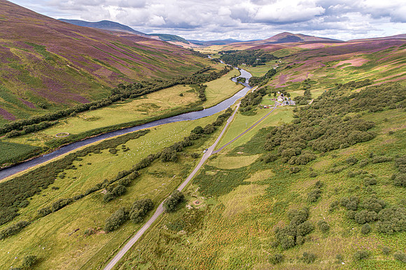 240820 Torrish 056