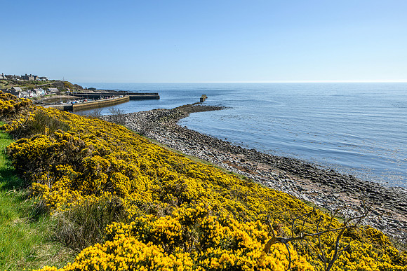 250407 Helmsdale 042
