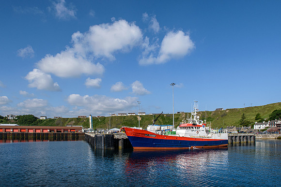 210622 Scrabster Harbour 002