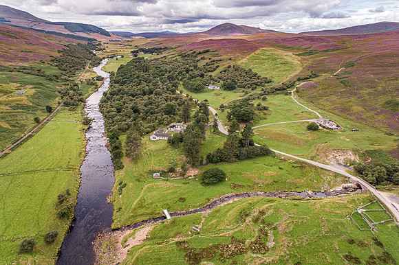 240820 Torrish 101