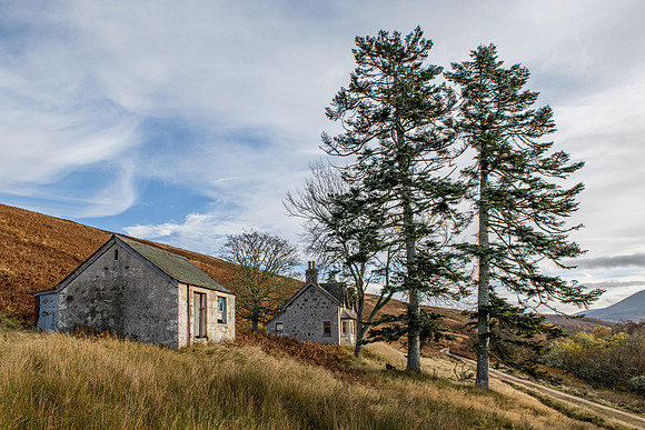 201107 Craggie 059