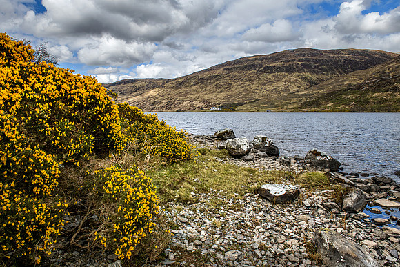 220427 Kinlochbervie 078
