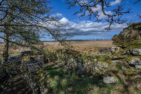 210516 Dalemore 043