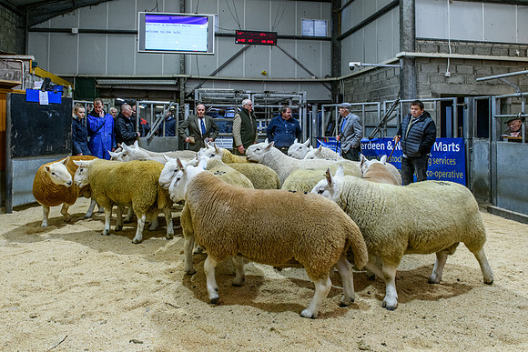220916 NCC Quoybrae 031