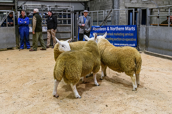 220916 NCC Quoybrae 005