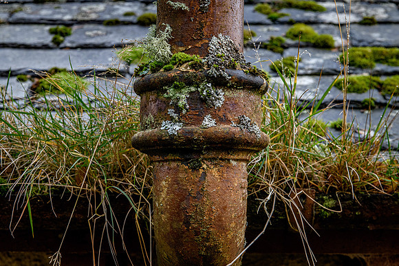 201107 Craggie 091