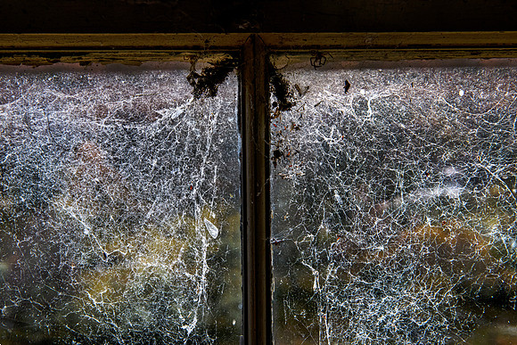 201107 Craggie 174