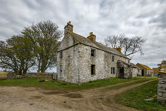 210517 Dalemore 069