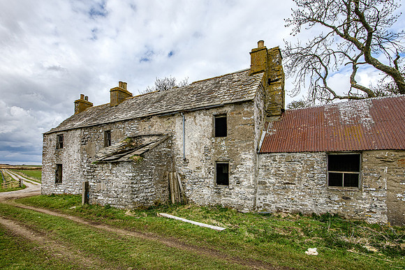 210517 Dalemore 077