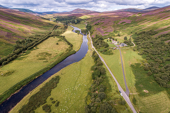240820 Torrish 064