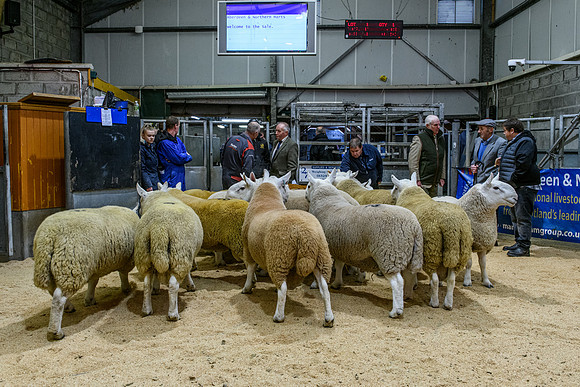 220916 NCC Quoybrae 036