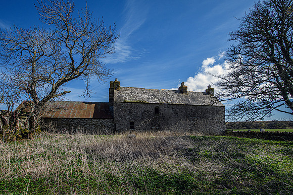 210516 Dalemore 038
