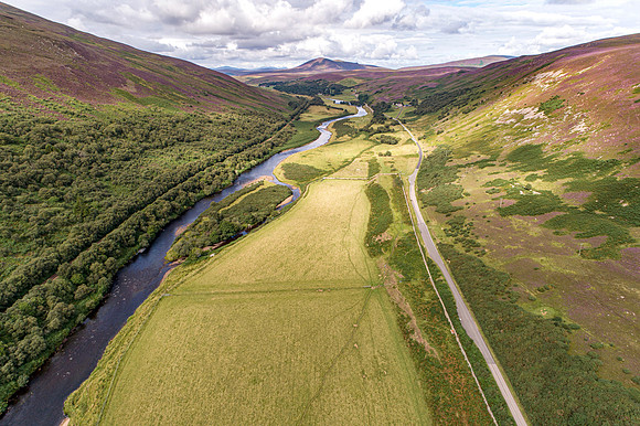 240820 Torrish 006