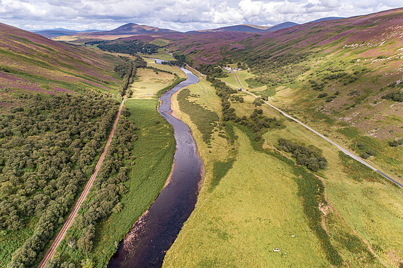 240820 Torrish 024