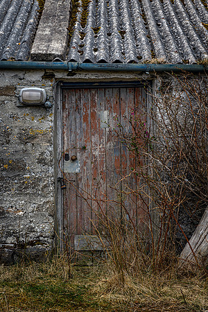220326 Benny's Croft 014