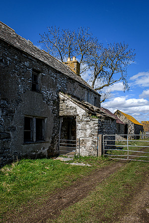 210516 Dalemore 078