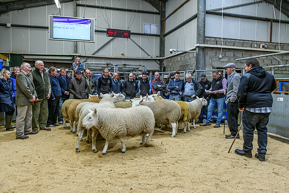 220916 NCC Quoybrae 091
