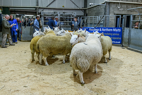 220916 NCC Quoybrae 030