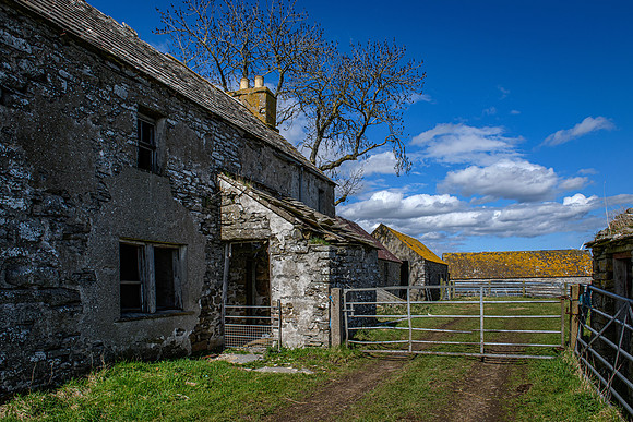 210516 Dalemore 079