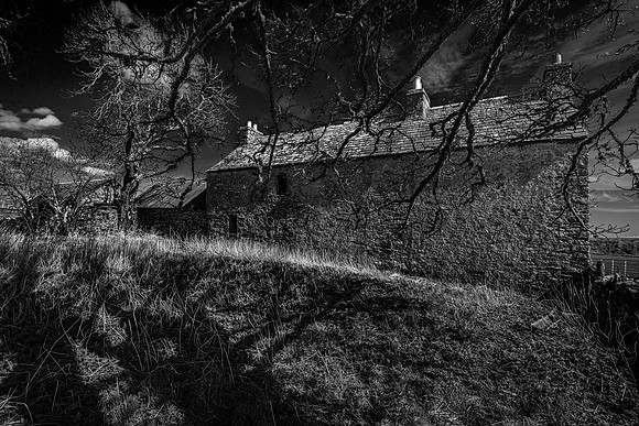 210516 Dalemore 049