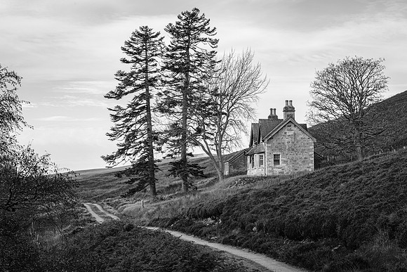 201107 Craggie 051_1