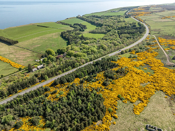 250510 Dunbeath 136